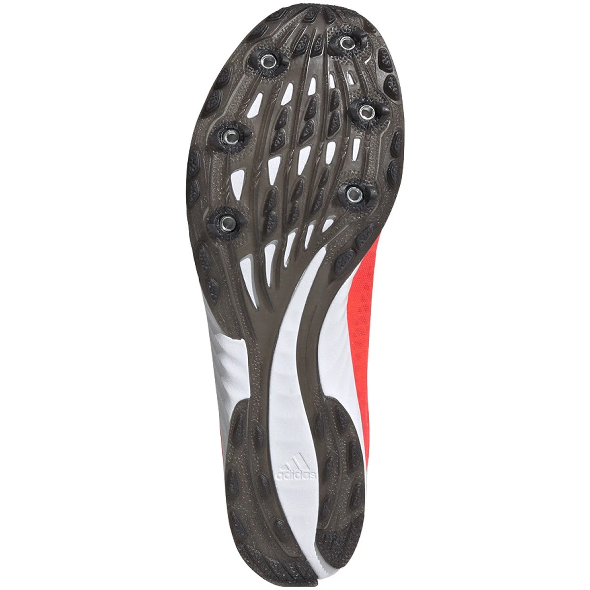 ADIDAS Women's Adizero XC Sprint Spike - Signal Pink/Core Black/TWR White- Regular (B) - Image 3